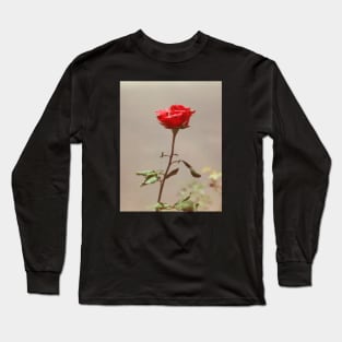 Red Red Rose Long Sleeve T-Shirt